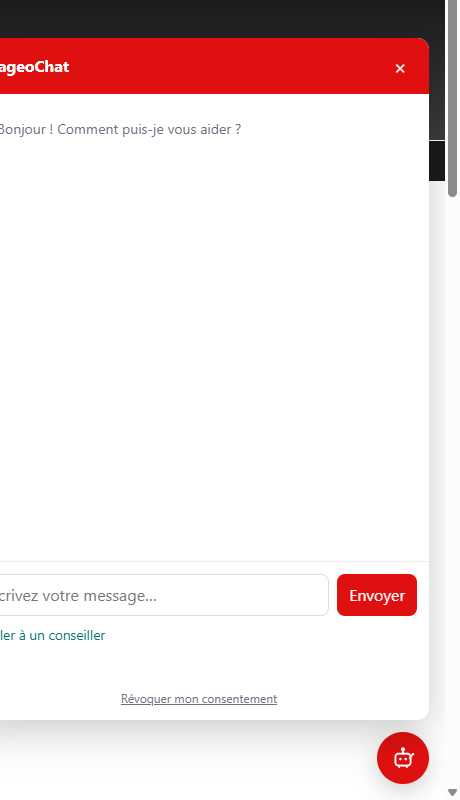 Accueil du widget NageoChat